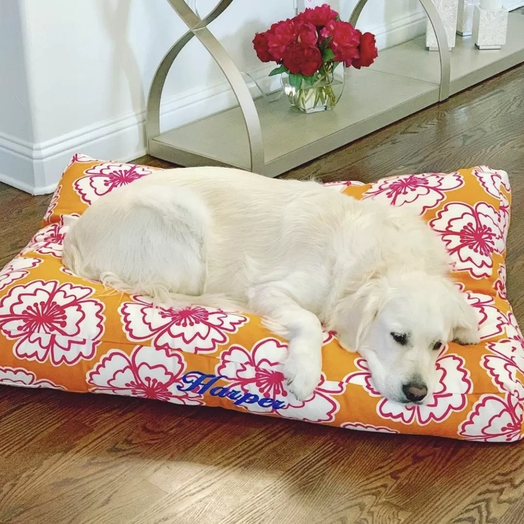 Snappy Poppy Canvas Dog Bed Collection