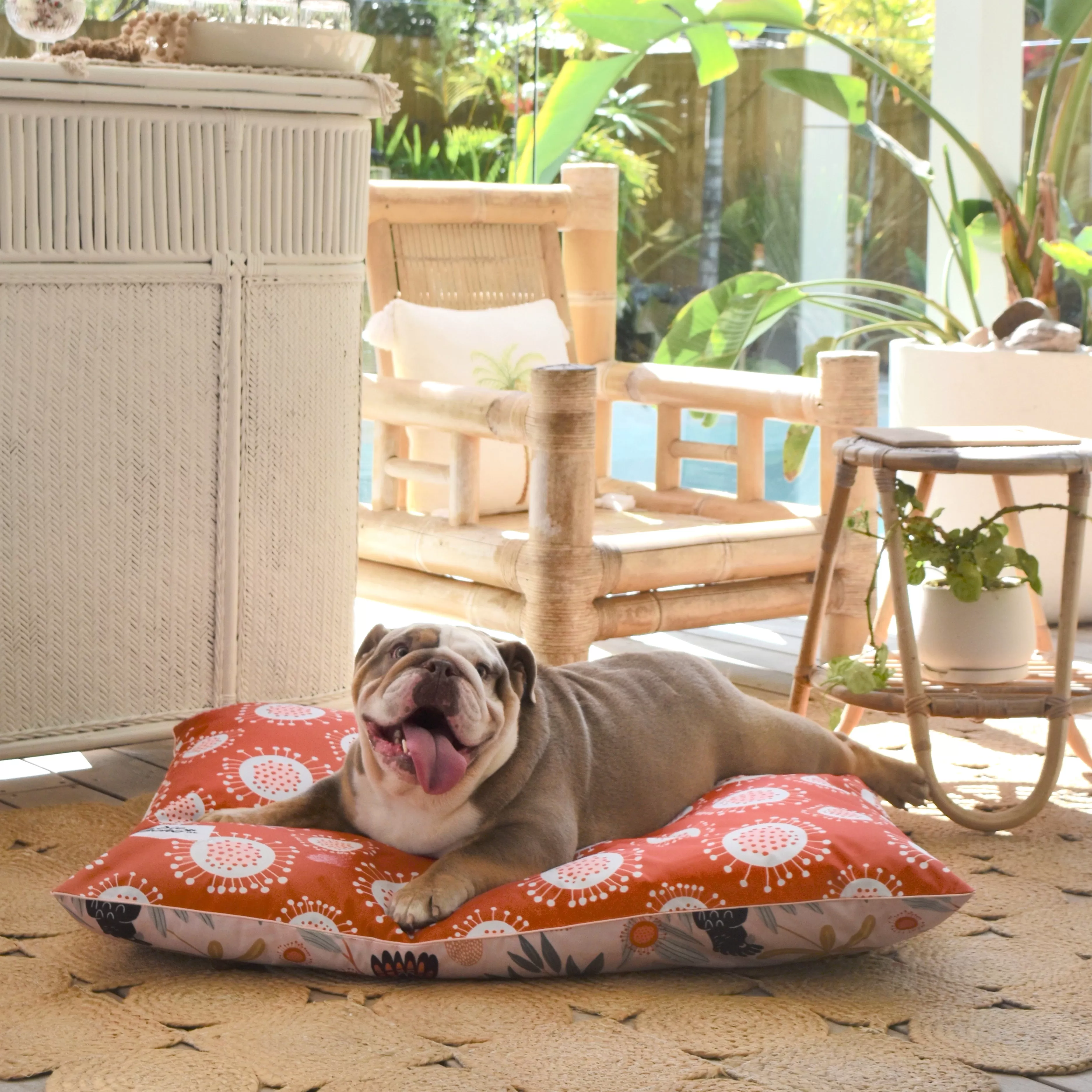 Sunset Cockatoo Water-Resistant – LARGE Dog Bed